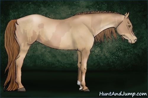 Horse Color:Liver Chestnut Pearl  and Liver Chestnut Pearl 