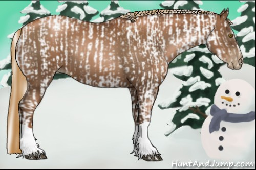 Horse Color:Gray Liver Chestnut Pearl  and Gray Liver Chestnut Pearl 