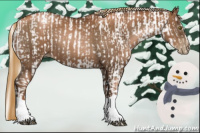 Horse Color:Gray Liver Chestnut Pearl  and Gray Liver Chestnut Pearl 