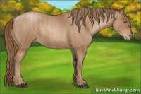 Horse Color:Brown Pearl  Brindle