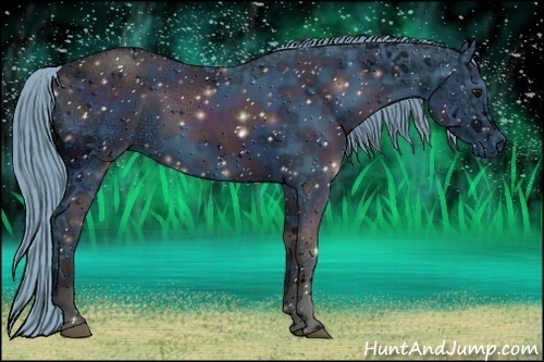 Horse Color:ERROR: UNKNOWN ANOMALY Brindle