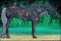 Horse Color:ERROR: UNKNOWN ANOMALY Brindle