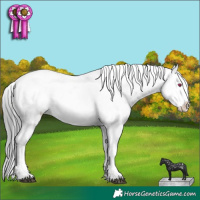 Horse Color:Brown Chinchilla Ice Pearl Sabino and Brown Chinchilla Ice Pearl Sabino