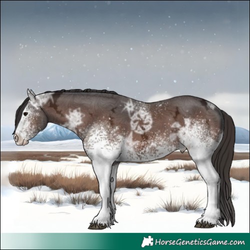 Horse Color:White Spotted Bay Ice Sabino 