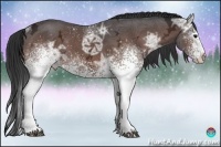 Horse Color:White Spotted Bay Ice Sabino 
