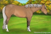 Horse Color:Silver Buckskin 