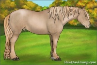 Horse Color:Liver Chestnut Pearl  and Liver Chestnut Pearl 