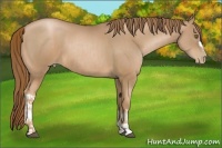 Horse Color:Liver Chestnut Pearl  and Liver Chestnut Pearl 