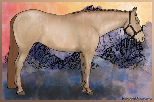 Horse Color:Bay Pearl  Brindle