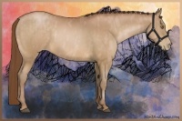 Horse Color:Bay Pearl Brindle