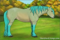 Horse Color:Watercolor Bay 