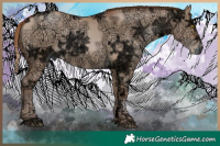 Horse Color:Brown Ice Pearl Dun  Brindle