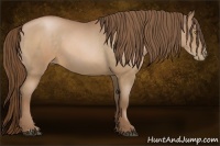 Horse Color:Bay Roan Pearl  and Bay Roan Pearl 