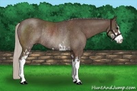Horse Color:Silver Black Sabino Rabicano 