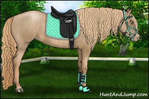 Horse Color:Liver Chestnut Pearl and Liver Chestnut Pearl