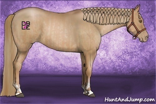 Horse Color:Liver Chestnut Pearl  and Liver Chestnut Pearl 