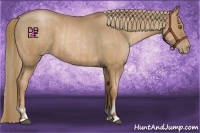 Horse Color:Liver Chestnut Pearl  and Liver Chestnut Pearl 