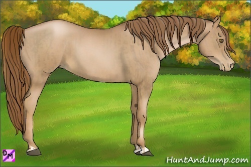 Horse Color:Liver Chestnut Pearl and Liver Chestnut Pearl