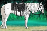 Horse Color:Liver Chestnut Sabino