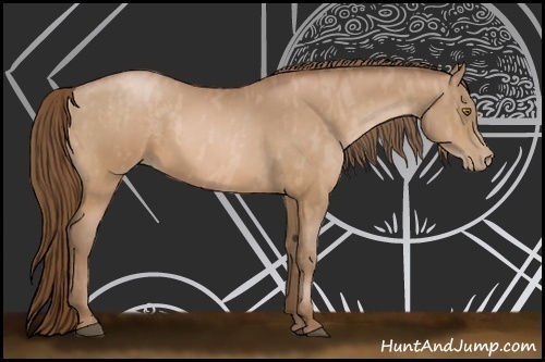 Horse Color:Bay Pearl Brindle
