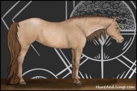 Horse Color:Bay Pearl Brindle