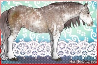 Horse Color:Chocolate Bay Sabino and Chocolate Bay Sabino
