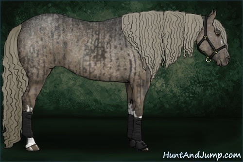 Horse Color:Liver Chestnut  and Liver Chestnut 