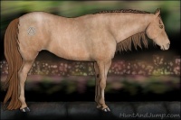 Horse Color:Bay Pearl Brindle
