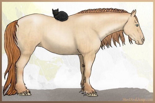 Horse Color:Amber Champagne Pearl and Amber Champagne Pearl