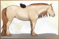Horse Color:Amber Champagne Pearl  and Amber Champagne Pearl 