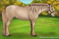 Horse Color:Liver Chestnut Pearl  and Liver Chestnut Pearl 