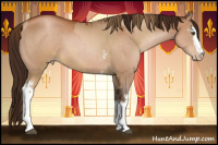 Horse Color:White Spotted Liver Chestnut Pearl  and Gray White Spotted Brown Pearl 