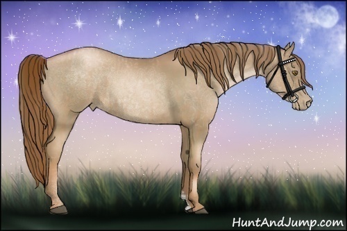 Horse Color:Liver Chestnut Pearl  and Liver Chestnut Pearl 