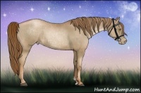 Horse Color:Liver Chestnut Pearl  and Liver Chestnut Pearl 