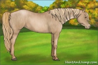Horse Color:Liver Chestnut Pearl  Brindle