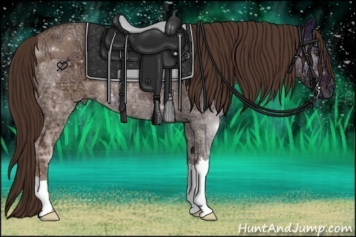 Horse Color:Liver Red Dun Ice 