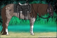 Horse Color:Liver Red Dun Ice