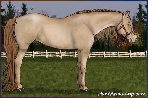 Horse Color:Liver Chestnut Pearl  and Liver Chestnut Pearl 