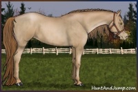 Horse Color:Liver Chestnut Pearl and Liver Chestnut Pearl