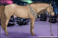 Horse Color:Black Pearl  Brindle