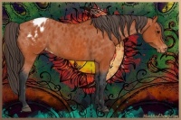Horse Color:Bay Blanket