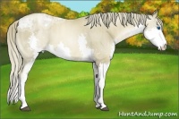 Horse Color:Liver Chestnut Ice Pearl Splash Brindle