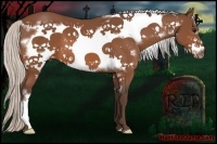 Horse Color:Silver Bay Frame
