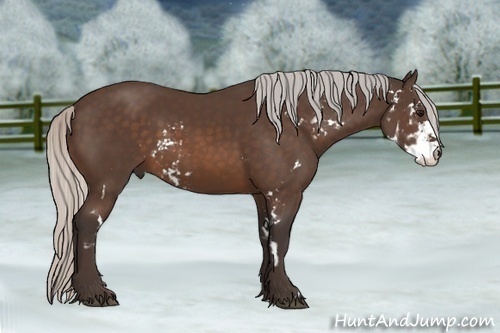 Horse Color:Silver Brown Sabino Frame 