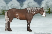 Horse Color:Silver Brown Sabino Frame