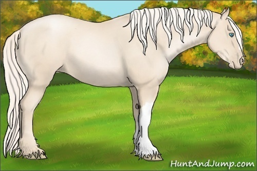 Horse Color:Gold Cream Champagne Pearl 