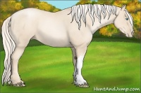 Horse Color:Gold Cream Champagne Pearl