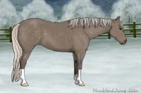 Horse Color:Silver Black 