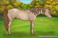 Horse Color:Liver Chestnut Pearl  Brindle