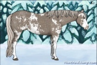 Horse Color:Silver Grullo Sabino 